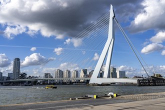 Skyline on the Nieuwe Maas, Erasmus Bridge, skyscrapers, water taxi, Rotterdam, Netherlands