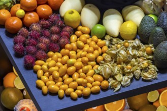 Exotic fruits, lychee, jackfruit, dragon fruit, mango and citrus fruits presented on a table,
