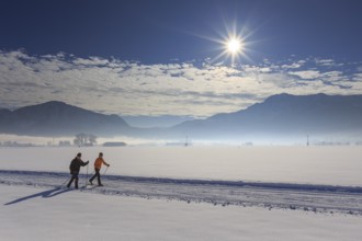 Cross-country skier, woman and man, adult, on cross-country trail in front of mountains, snow,