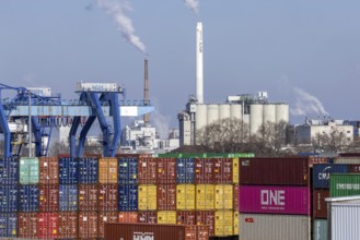 BASF plant, production building and smoking chimneys. Ludwigshafen on the Rhine,