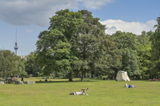 Remains of the Global Stone Project, Großer Tiergarten, Mitte, Berlin, Germany, Europe