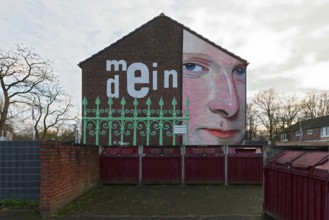 Mural Mein-Dein, Gesicht blickt über den Zaun, mural on the subject of neighbour disputes by street