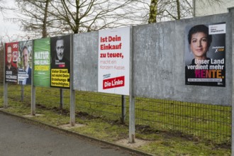 Board with election posters, SPD, CDU, Bündnis90 Die Grünen, FDP, Die Linke, BSW, Bundestag