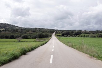 Road, Majorca, landscape, straight ahead, lonely, asphalt, road without people and vehicles