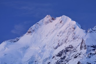 Piz Bernina and Biancograt at dawn, Engadin in the canton of Graubünden, Switzerland, Europe