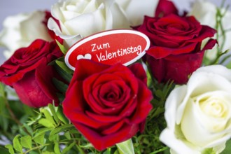 Valentine's greetings: Warm Valentine's Day greetings with a bouquet of white and red roses