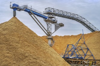 Stockpiles of wood chips for the paper mill