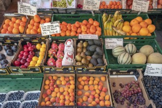 Fruit stand with various fruits, Kempten, Allgäu, Swabia, Bavaria, Germany, Europe