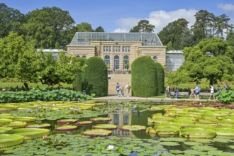 Water lily pond, behind the Moorish country house with greenhouses, Wilhelma, Zoological-Botanical