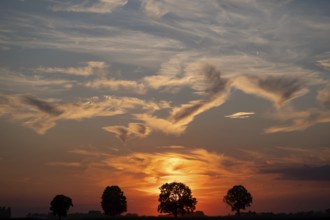 Sunset with cirrus clouds near Rettenbach, Lower Bavaria, Germany, Europe