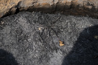 A natural background texture of ash in a fireplace
