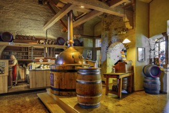 Interior with brewing kettle, brewery inn, Irseer Klosterbräu, Irsee, Bavaria, Germany, Europe