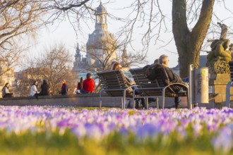 Sunbathers on the crocus meadows at the Hotel Belevue on the banks of the Elbe in Neustadt. View of