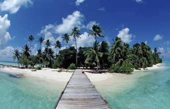Maldives Island, Maldives, Indian Ocean, Medhufushi, Meemu Atoll, Asia