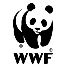 Color WWF, Organization, Logo