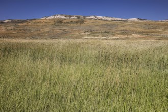 Fossil Butte National Monument, Wyoming, USA, North America