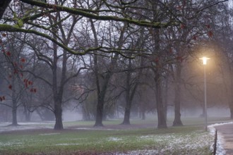 Cloudy mood and slush in the municipal park, danger of slipping, danger of catching a cold, cold,