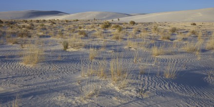 White Sands National Monument, USA, North America