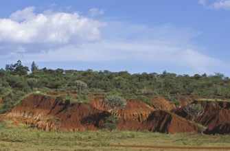 LANDSCAPE SHOWING EROSION, TANZANIA
