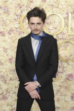 Timothee Chalamet at the 82nd Annual Golden Globe Awards held at the Beverly Hilton Hotel in