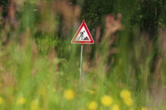Construction site sign with flower meadow, Germany, Europe