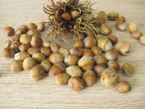 Hazelnuts from the tree hazel in the nutshell and a fruit stand