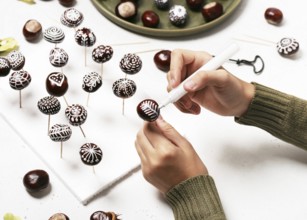 Chestnuts painted with white acrylic pen. Creative autumn decoration with natural material.