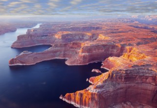 Landscape under the wing of an airplane. U.S. The coast of Lake Powell is cut by narrow canyons.