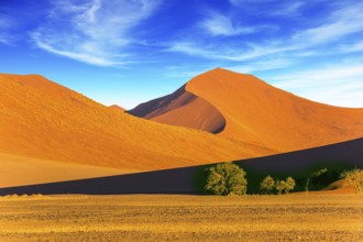 Sunset in the desert. Orange, red and yellow dunes of the Namib desert. The concept of extreme and