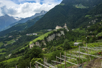 Tyrol Castle seen from Dorf Tyrol, medieval ancestral castle of the Counts of Tyrol and since 2003