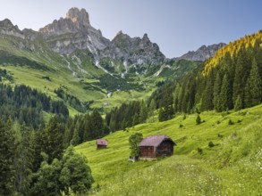 Aualm in front of the large Bischofsmütze, Gosaukamm, Dachstein mountains, Filzmoos, Pongau,