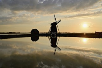 Historic windmill in the light of the setting sun, De Traanroeier, Het Noorden Molen, Texel, North