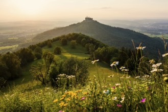 Hohenzollern Castle, sunset, Hechingen, Swabian Alb, Baden-Württemberg, Germany, Europe
