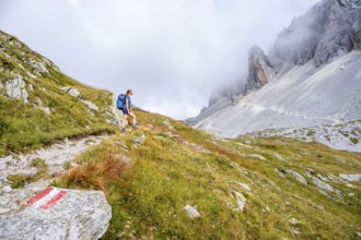 Hiker on the ascent to the Great Kinigat, Carnic Main Ridge, Carnic High Trail, Carnic Alps,