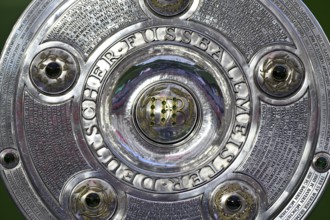 Bundesliga Meisterschale, cup, trophy, detail, close-up, Allianz Arena, Munich, Bavaria, Germany,