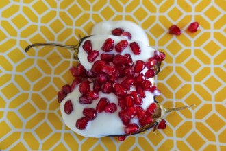 Mediterranean cuisine, roasted aubergines with pomegranate seeds and yoghurt, starter, healthy,