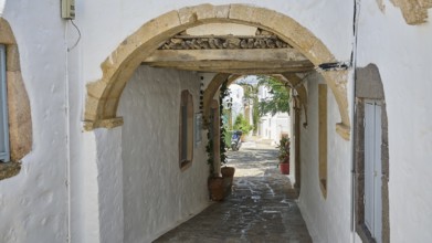 A shady passageway through a stone archway, flanked by white buildings and plants, Chora, Old Town,