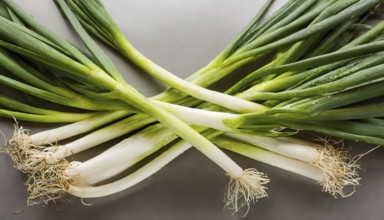 Vegetable, spring onion or spring onion, also known as winter onion, Allium fistulosum