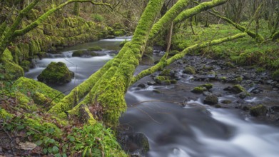 Landscape photo, Nature photo, Atmospheric, Lake District, England, Great Britain