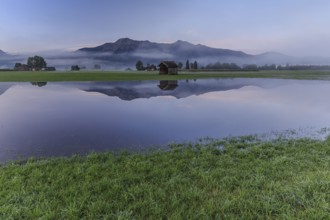 Mountains reflected in pond, morning mood, flooding, high water, Loisach-Lake Kochel-Moor, Bavaria,