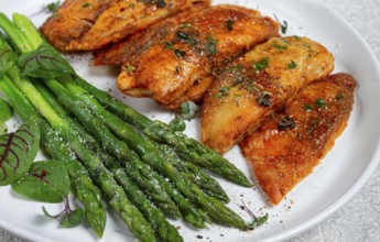 Fried fish fillet, tilapia with asparagus, homemade, no people
