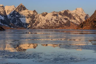 Fjord with ice floes in front of steep mountains, reflection, morning light, KjerkfjordeWinter,
