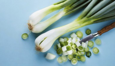Vegetable, spring onion or spring onion, also known as winter onion, Allium fistulosum