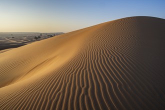 Sand dunes in the desert, near Duqm, Oman, Asia