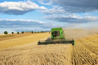 Combine harvester harvesting wheat, endless cornfield, blue sky with cumulus clouds, Saalekreis,