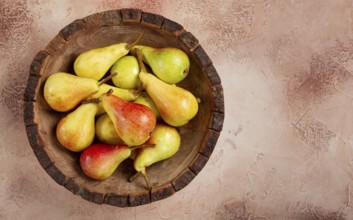 Pears, Duchess variety, small pears, early harvest, in a wooden plate, top view, no people