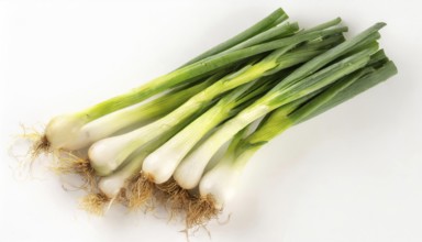 Vegetable, spring onion or spring onion, also known as winter onion, Allium fistulosum