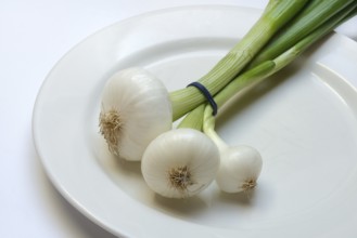 Onion, spring onions on a plate