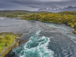 View of Saltstraumen, tidal whirlpool, Stornholmen, Bodø, Helgeland coast, Nordland, Norway, Europe