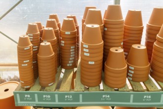 Variety of sizes of clay flower pots on display in at Swanns Nursery garden centre, Suffolk,